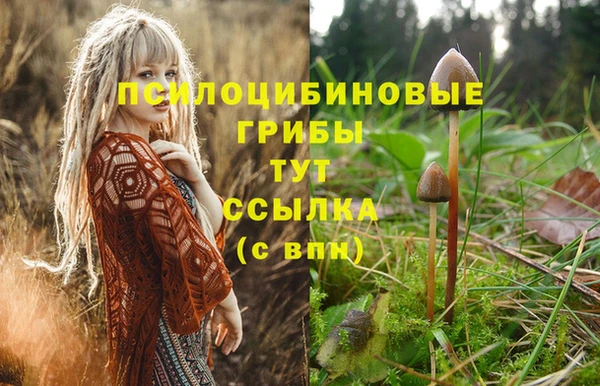 эйфоретик Армянск