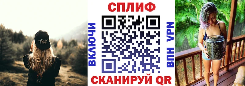 Конопля семена  купить наркоту  Шали 